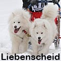 Sleddogs Liebenscheid